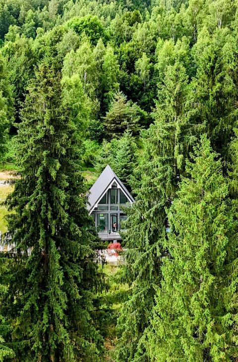 Pine Hill 1