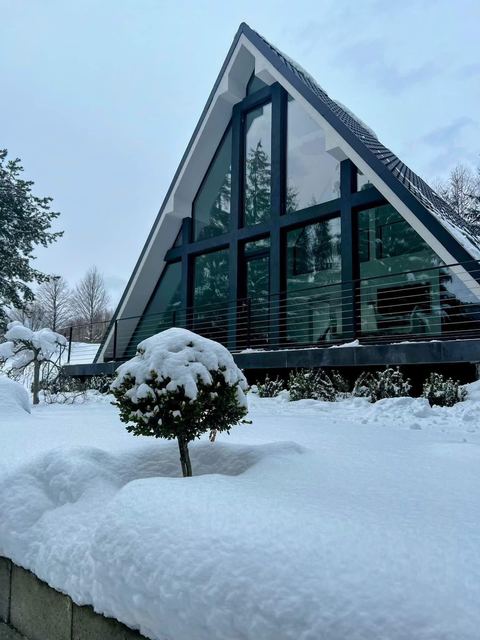 Pine Hill 1